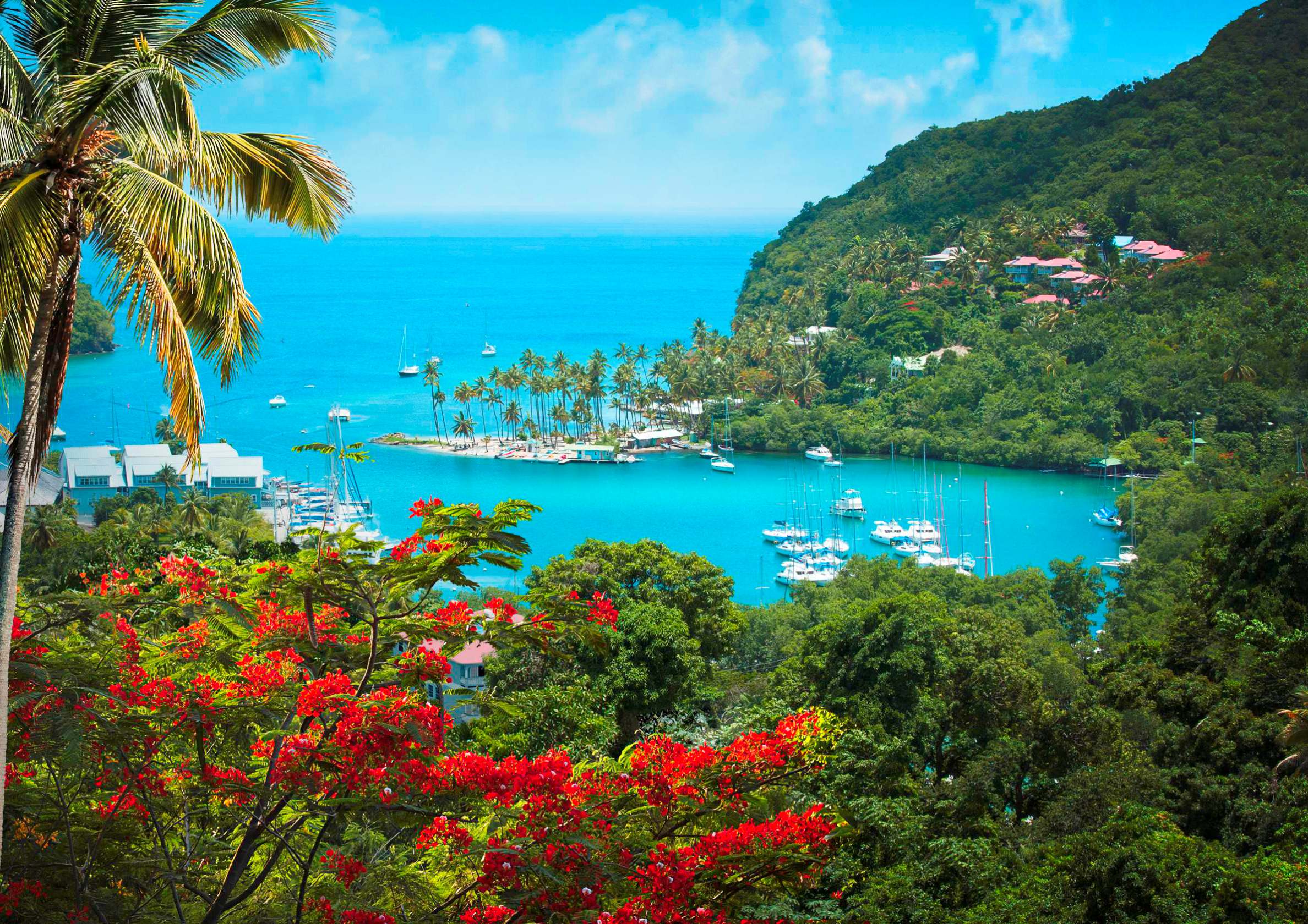 Marigot Bay